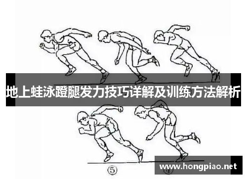 地上蛙泳蹬腿发力技巧详解及训练方法解析