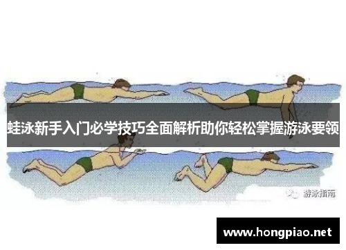 蛙泳新手入门必学技巧全面解析助你轻松掌握游泳要领