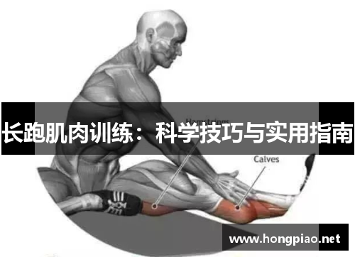 长跑肌肉训练：科学技巧与实用指南